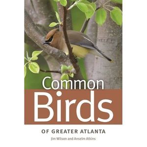 Common Birds of Greater Atlanta -- Jim Wilson